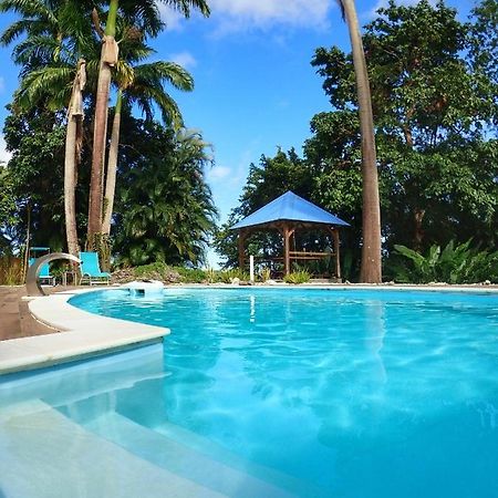 Gite Kaz A Topaze, Piscine, Jardin Tropical Sainte-Rose Zewnętrze zdjęcie