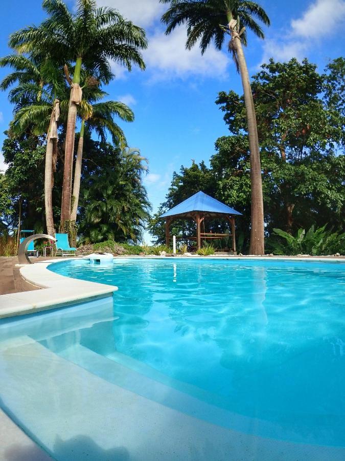 Gite Kaz A Topaze, Piscine, Jardin Tropical Sainte-Rose Zewnętrze zdjęcie