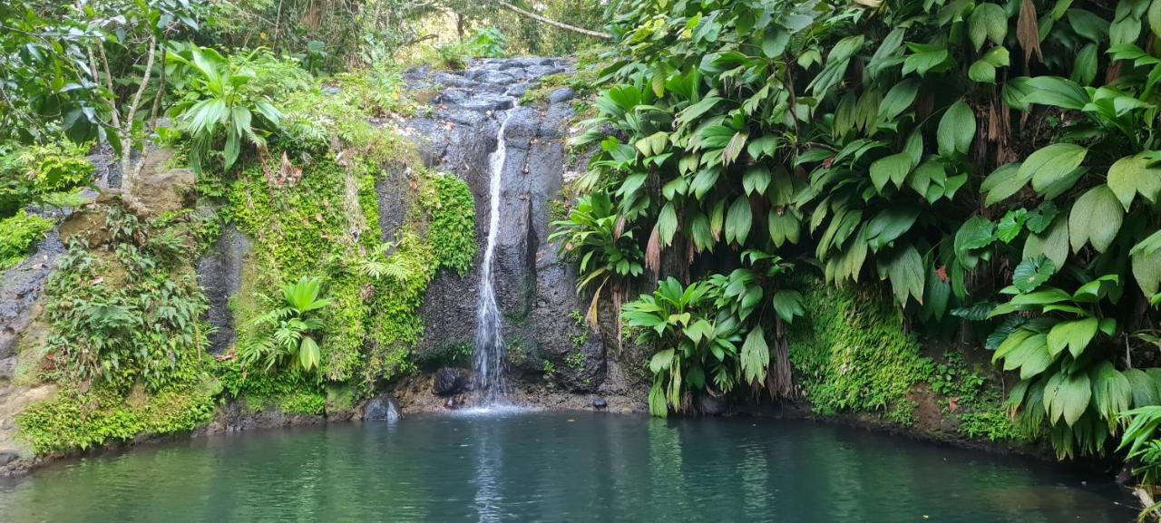 Gite Kaz A Topaze, Piscine, Jardin Tropical Sainte-Rose Zewnętrze zdjęcie