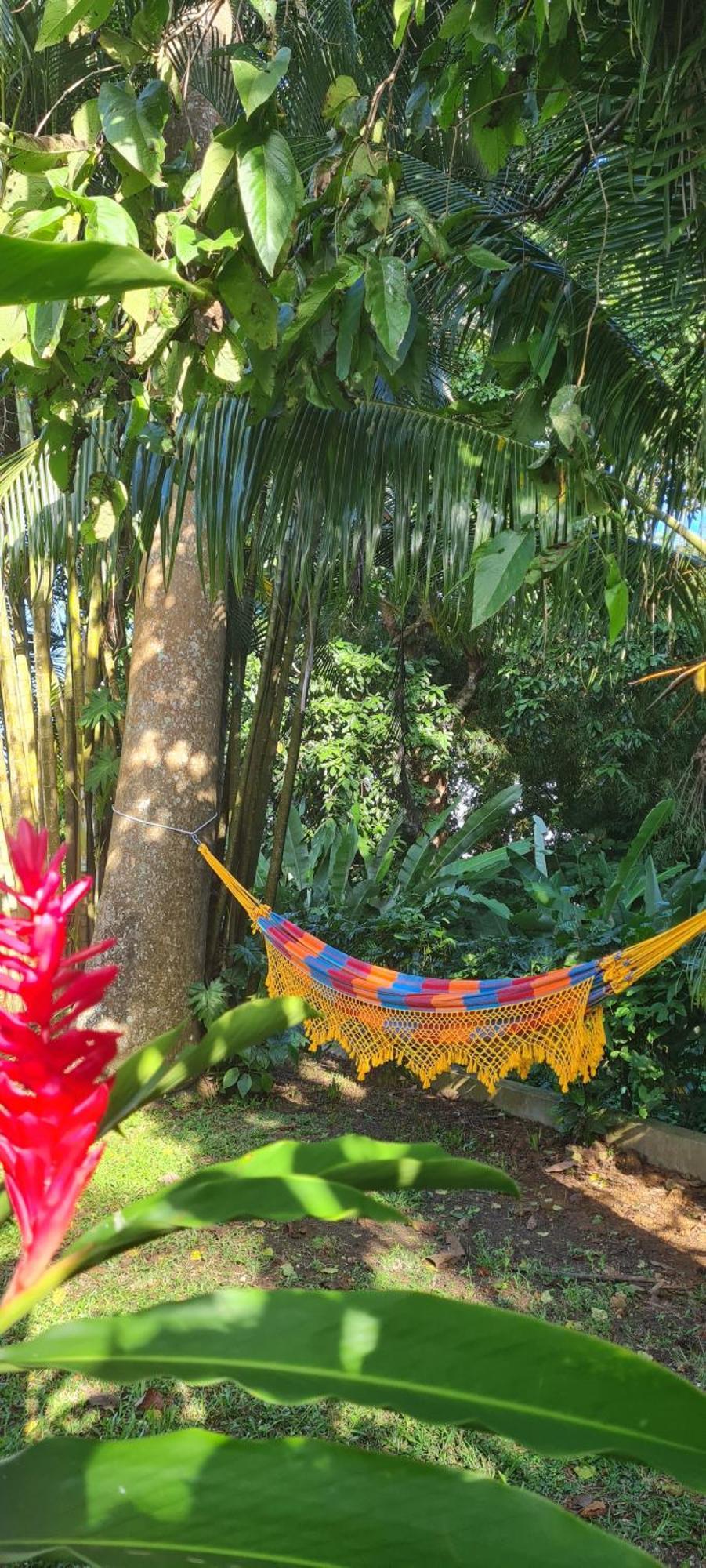 Gite Kaz A Topaze, Piscine, Jardin Tropical Sainte-Rose Zewnętrze zdjęcie